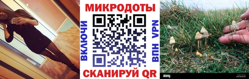 Псилоцибиновые грибы прущие грибы  Куртамыш 